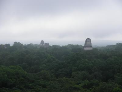 2012年マヤ文明への旅　その７　フローレス到着～ティカル遺跡前編