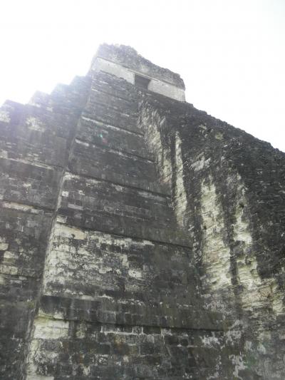 2012年マヤ文明への旅　その８　ティカル遺跡後編＆フローレス島