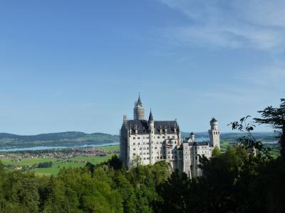 シンデレラ城で馬車に乗りたい