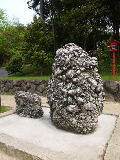 変わり種満載の藤鑑賞　～和気神社～【2012.5】