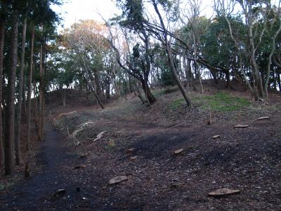 長柄桜山古墳群(神奈川県逗子市・葉山町）－2013年正月