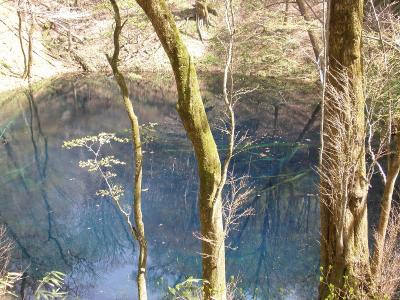 ひとり旅　第７弾　　　青森・白神山地　①
