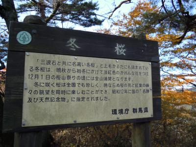 群馬県桜山ハイキング