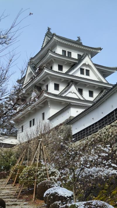 雪の郡上八幡城