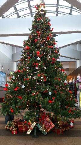 子供初スキー（ソリだけど）（群馬・水上）