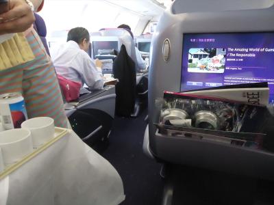 タイ国際航空ビジネスクラスで帰国　7日実質5日のハイデラバードの旅6　