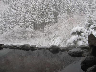 東京からすぐの５ツ星の温泉☆