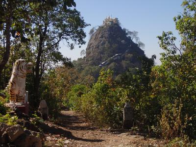 謎の「名古屋ミルクティー」