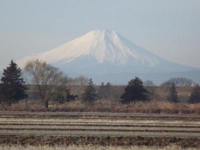 初春の富士山ウォッチング（*^_^*）埼玉から