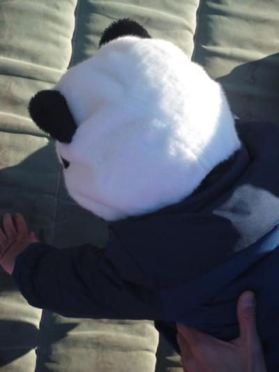 ラッキー！！家族旅行に同行しました。