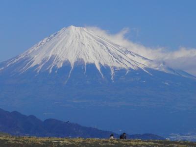 アイラブ仏像めぐり　「近江巡礼 祈りの至宝展」と三保の松原