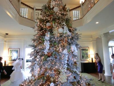 （我慢できずに）今年２度目の☆ＨＡＷＡＩＩ☆～積雪の札幌から直行便でＧＯ～（最終日～帰国）