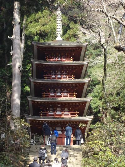 ■□ 年の初めに徳を積む　奈良の寺巡り（オマケ付）□■