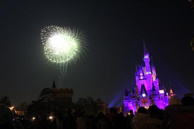 毎年恒例の東京ディズニーランドと東京観光