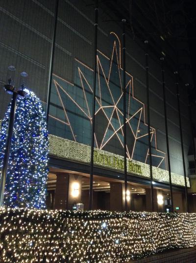 2013　東京の旅～ロイヤルパークホテル