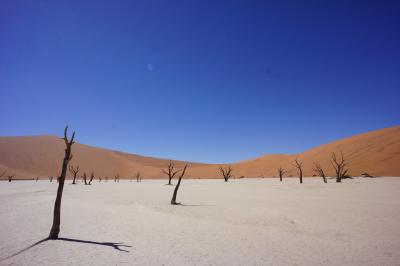 ２０１３正月　ナミビア周遊（１）香港＆南アフリカ経由でナミブ砂漠へ