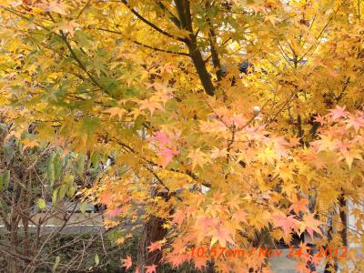 2012大阪と京都の備忘録