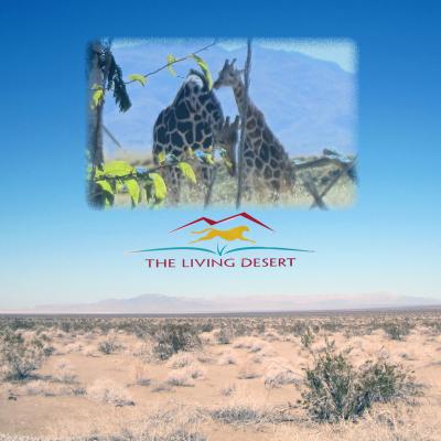 ２０１３　モハベ砂漠の旅：　２日目　　砂漠は生きている動、植物園