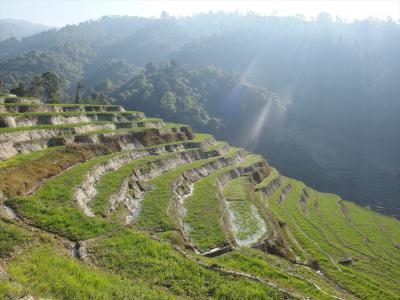 ネパール弾丸旅行④【ナガルコット→サクー　ミニトレッキング編】