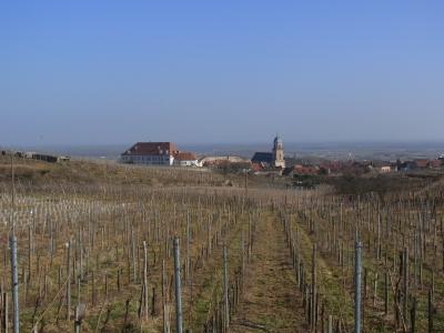 アルザスワイン街道