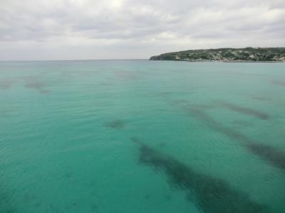 Ｏｋｉｎａｗａ ＜２＞ 古宇利島 &amp; 名護でグルメ ＆酒造