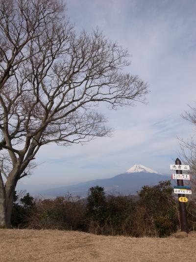 冬のアルプス縦走(沼津アルプスですが。。)