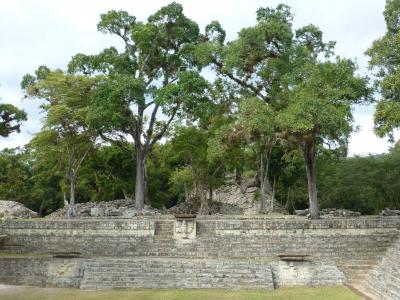 自然に飲み込まれかけているマヤ文明の遺跡を見てきた 中米７カ国を一気に回る旅行