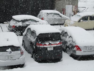 今年初めての雪を見る