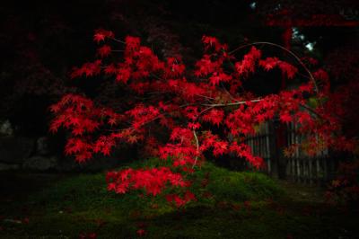 出張帰りにぶらり京都・嵐山の写真旅
