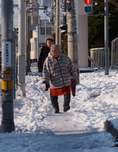 ７年ぶり・・の大雪・・だって～！！大雪の翌朝に、プチ撮影～♪