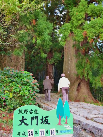 大門坂　熊野古道/中辺路の一部を歩く　☆杉並木と石畳の参道