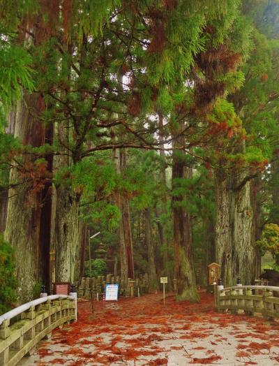 高野山　奥の院めぐり　案内人と雨の中　☆南無大師金剛遍照と唱え