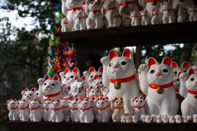 カメラと散歩　豪徳寺