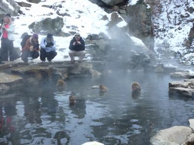 冬の温泉地で、外国人に見られながら猿は露天風呂に浸かっていた（湯田中温泉泊まりのバスツアーで小布施、地獄谷温泉、善光寺参り編）