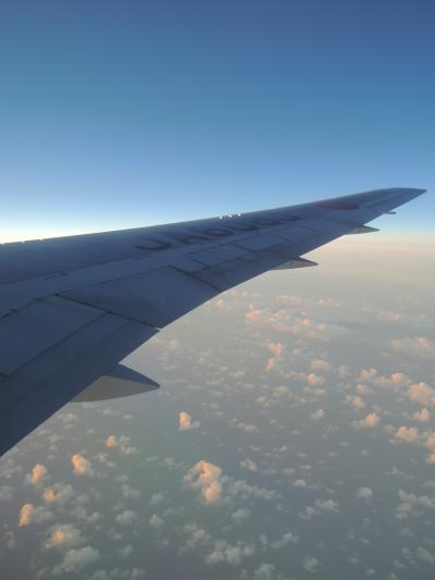 新婚旅行でホノルル♪　１日目