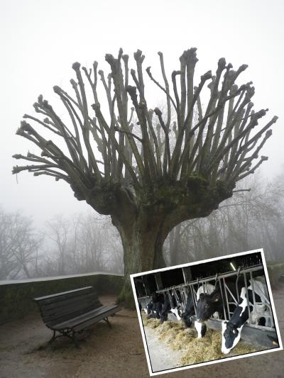 日本から来たお友達と共にイル・ド・フランスをぶらぶら散歩 (Ile de France)