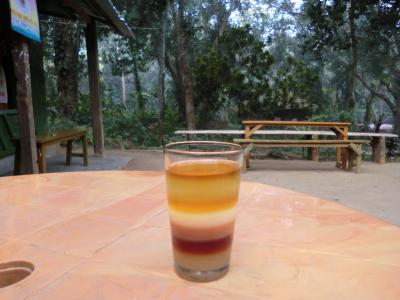 バングラで草の根国際交流の旅 (7)　お茶づくしのスリモンゴル