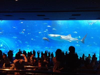 冬の沖縄は、たのシーサー