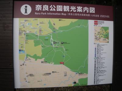 2013年も春日大社に初詣♪　初めて原始林にも入ってみました