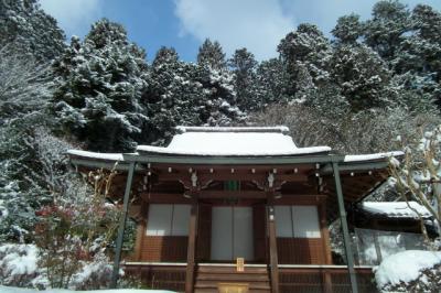 冬の京都　雪の大原ぶらり旅！2013年