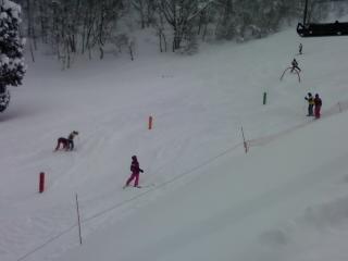 今日もski@タングラムスキーサーカス　2012-2013　1月　12