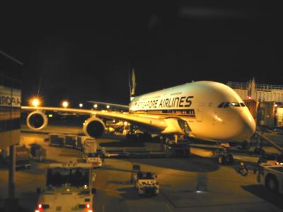 シンガポール航空A380で行ったグレイシャー国立公園とマウントレーニエ国立公園