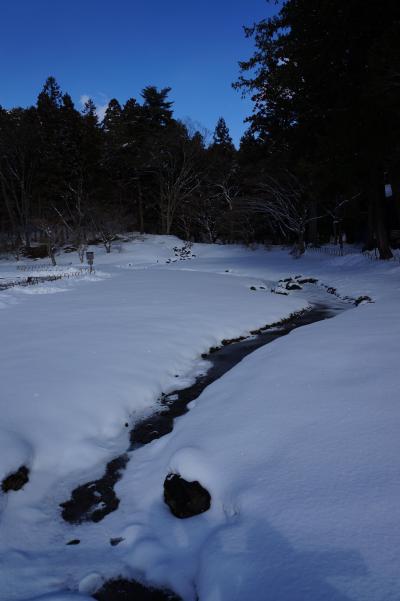 雪景色の平泉 厳しい冬