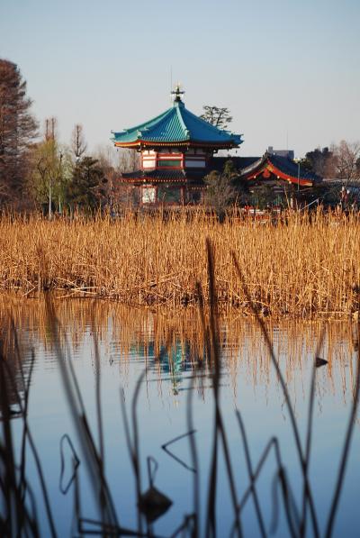 上野公園・弁天堂訪問