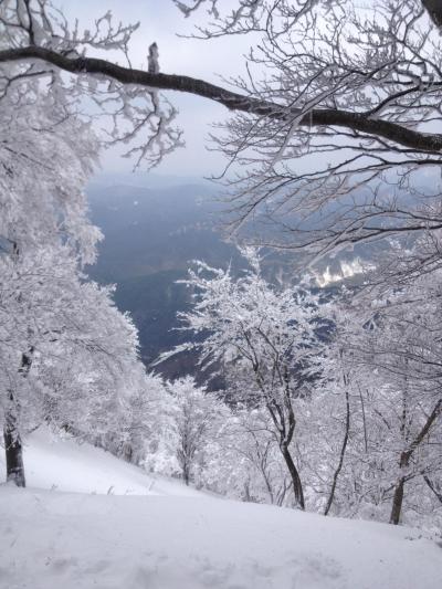 4traに帰ってきたAtsukoY：人生初の冬山登山♪