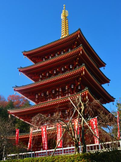 多摩丘陵-1　高幡不動尊にお参りして裏山へ　☆かたらいの路を往く