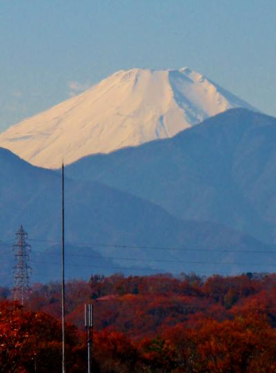 多摩丘陵-2　多摩動物公園の外周をめぐって　☆冠雪の富士山を仰ぐ