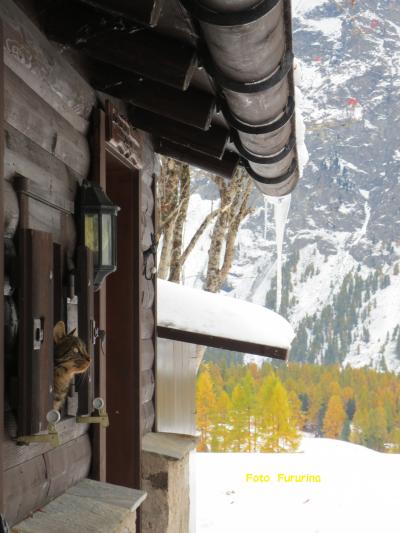 雪のフェックス谷 / 2012 傘寿の母と巡るヨーロッパ田舎の旅 ⑧