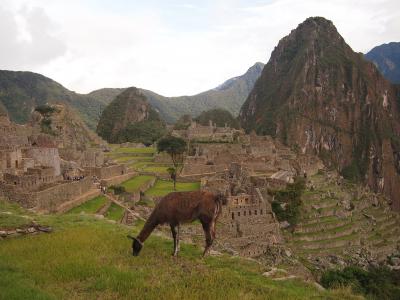 ペルー・メキシコの旅　その1　マチュピチュへの道のり