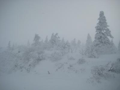 2013年　楽しかった宮城蔵王　吹雪の樹氷めぐり